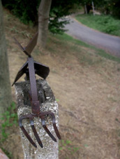 Titre de l'image