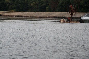 Titre de l'image